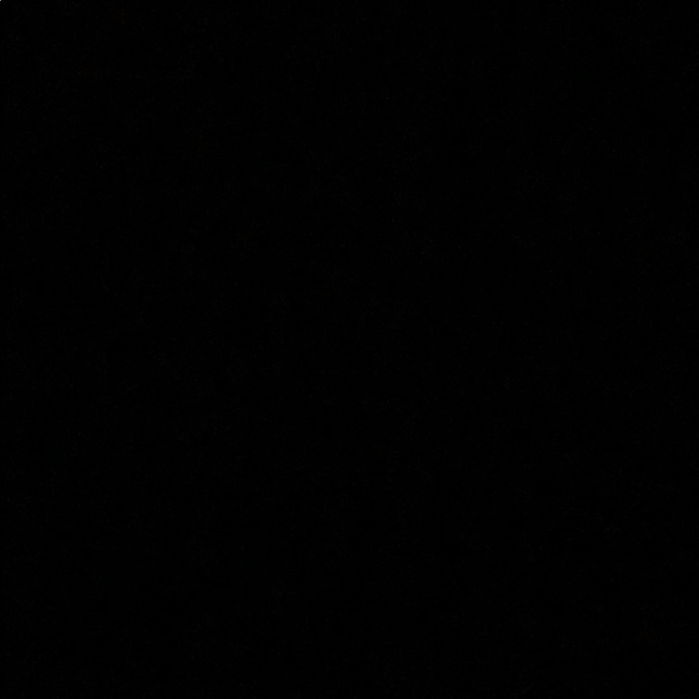 Meet your Posher, Ava